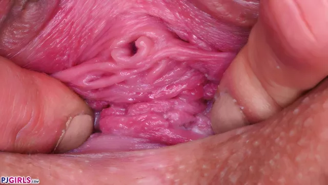 The Girl Spreads Her Pussy With Her Hands While Taking A Close-up